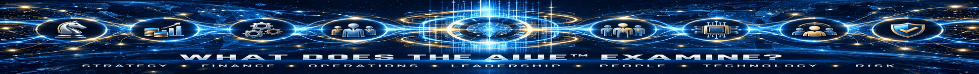 what does the AIUE™ examine?